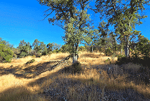 13401 S. Ponderosa Way, Grass Valley, California 95949